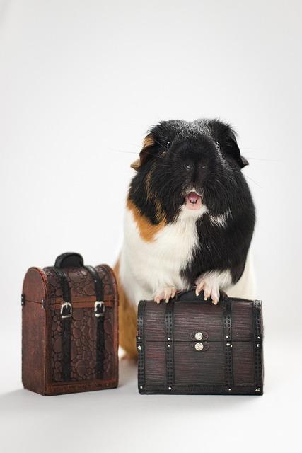 Trusted Luggage Options That Stand the Test of Travel