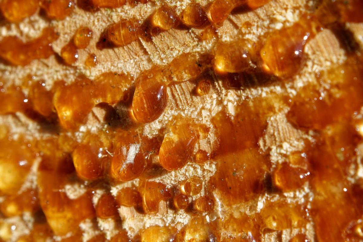 Resin and Wood Fusion for Stunning Epoxy Art