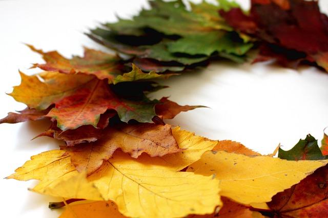 Enjoy Crafting Colorful Fall Wreaths with Your Little Ones