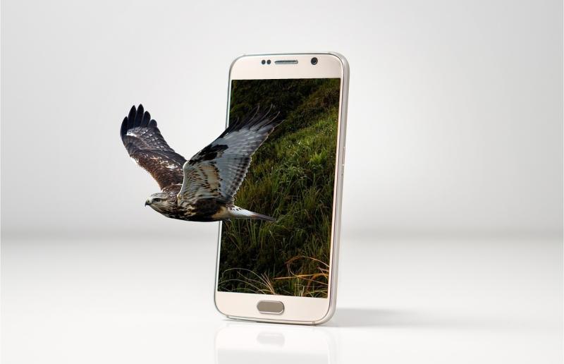 Merging Physical and Digital Realities