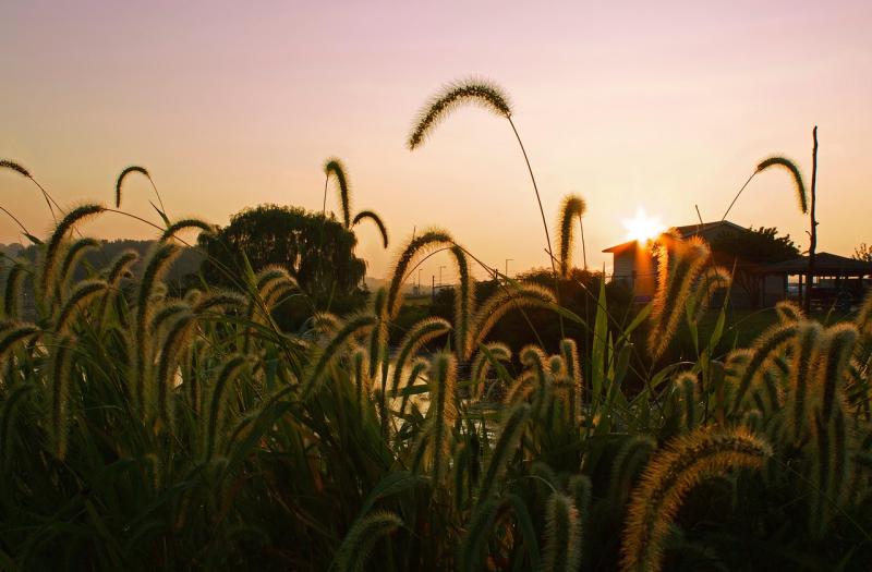 Reconfigurable Logic Devices for IoT‑Enabled PC Platforms