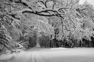 Personalized Sound for Competitive Edge