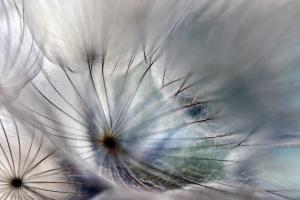 AMD Radeon Graphics Excellence