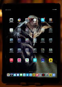 Beyond Traditional Keyboards and Mice