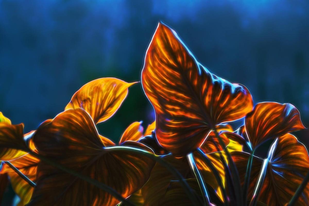 Custom PC Case Modding