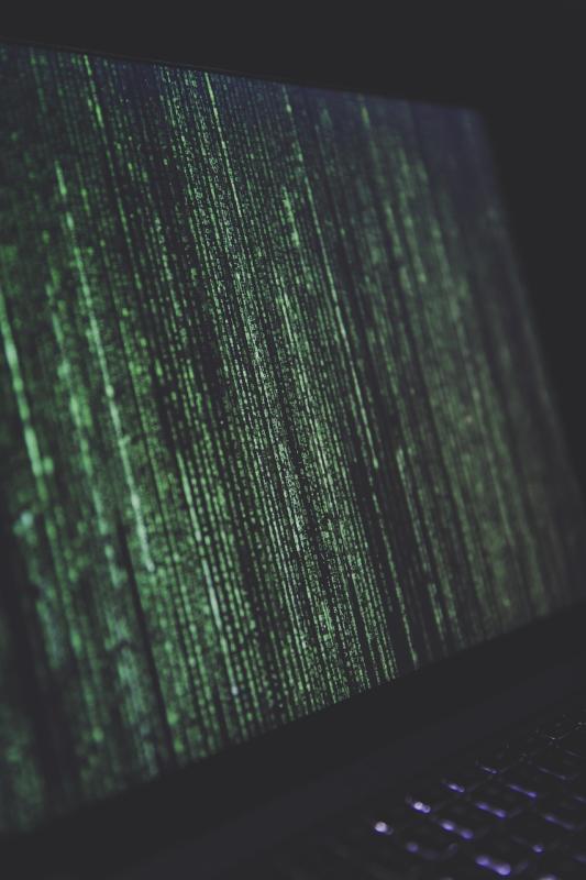 Future‑Proof Routers, Gaming Routers, and Network Adapters