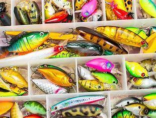 Learn how to pick the perfect lures for any bass fishing condition and boost your catch rate.