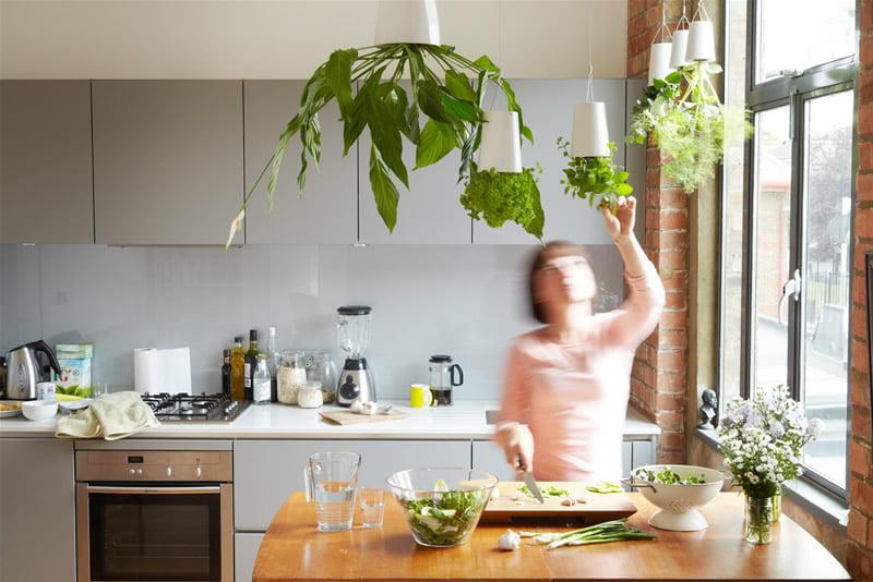 Greening Your Kitchen: Essential Eco-Friendly Items