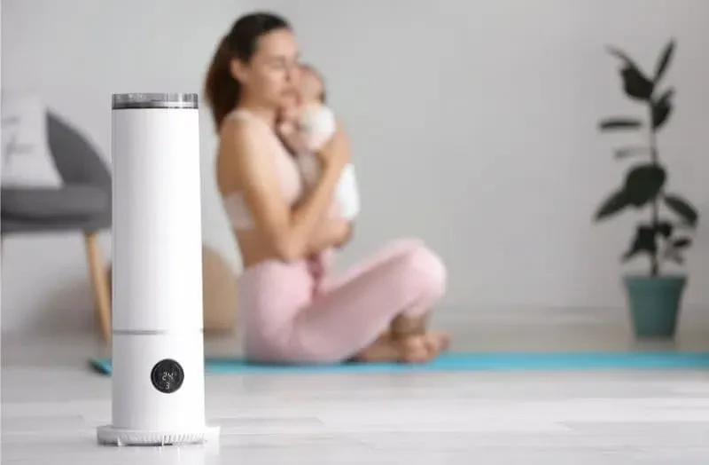 Why Every Home Needs an Air Purifier