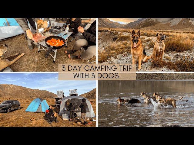 How to Stay Safe While Camping