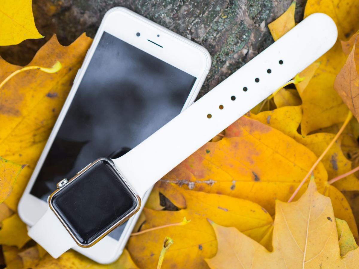 Essential Apple Products You Need Right Now