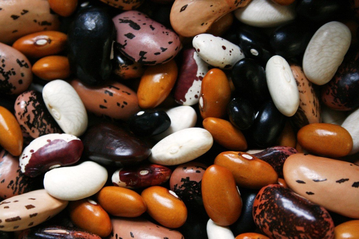 Top Must-Have Prepper Food Supplies