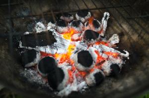 Mastering the Flame: Essential Charcoal Grilling Tips for Succulent Flavors
