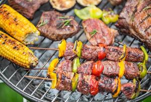 BBQ Decision-Making: Factors to Consider When Selecting the Right Grill