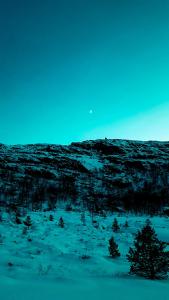 Lightweight gear picks for night trail explorers