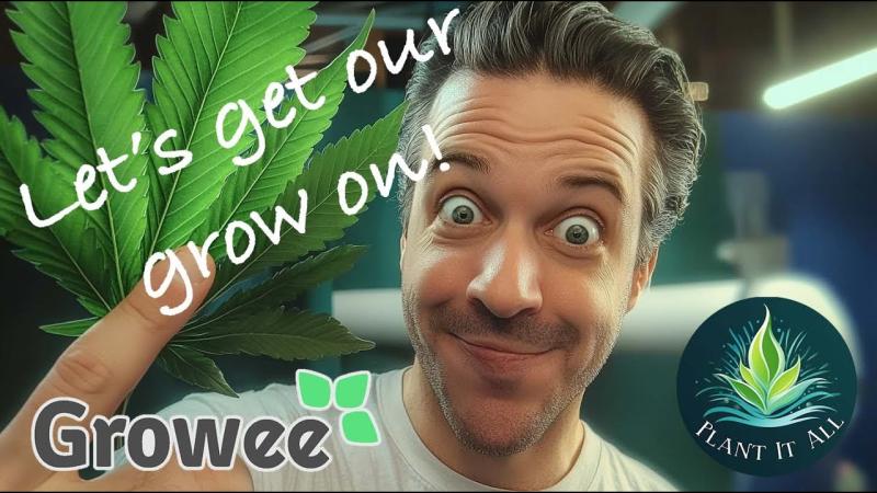 Managing your plants and Low Stress Training