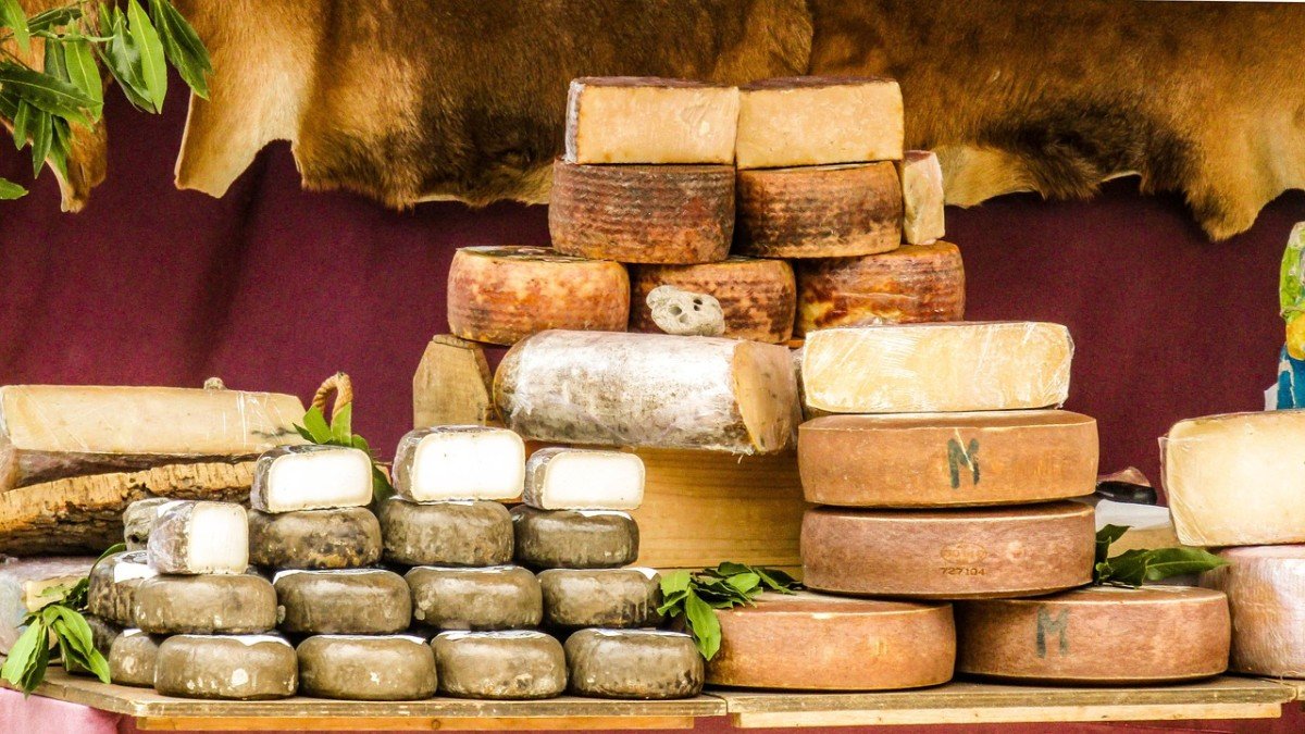 The Delicious Journey Through Cheese History