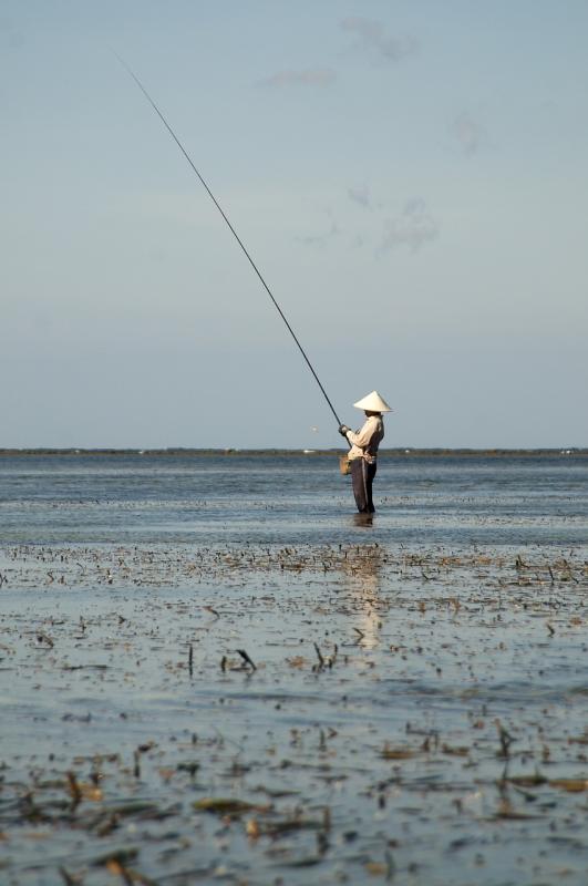 Find the perfect fishing rod that fits your style and needs