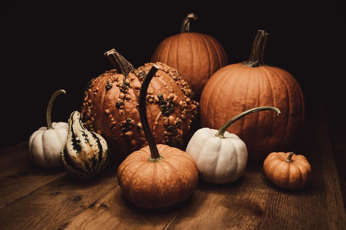 Easy Ways to Recycle Your Halloween Costume