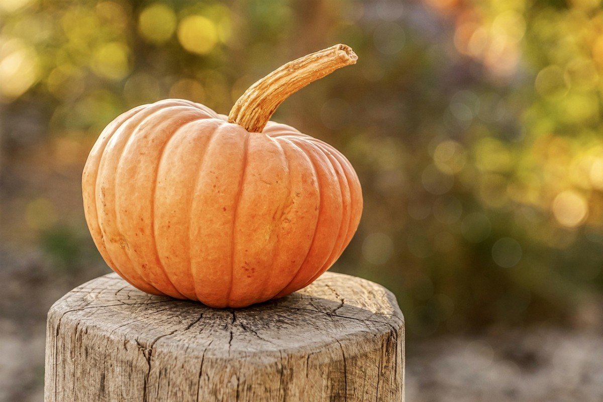 Spooktacular Tips to Decorate Your Home for Halloween