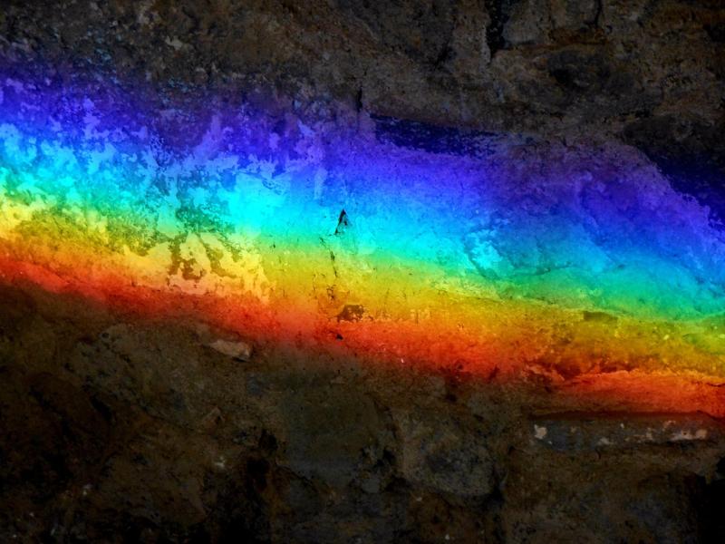 Exploring the Factors that Shape Sexual Orientation