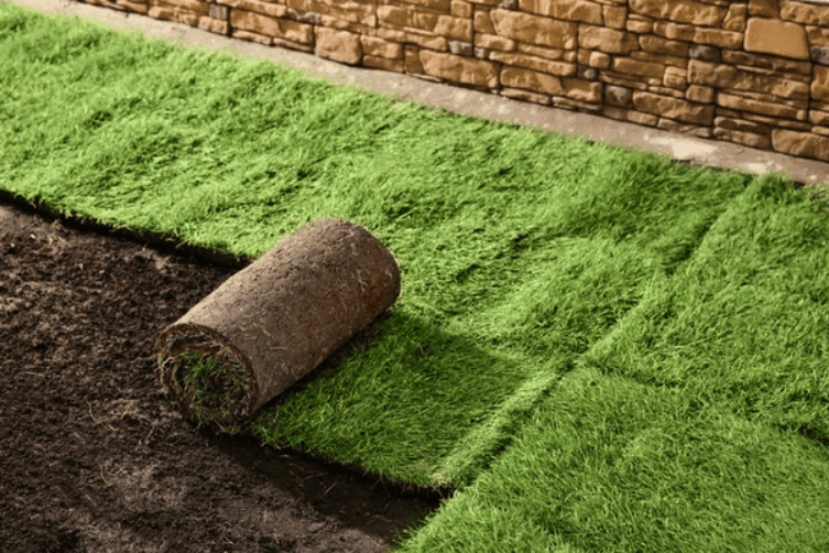 How to Use a Sod Cutter Properly For Efficient Turf Removal
