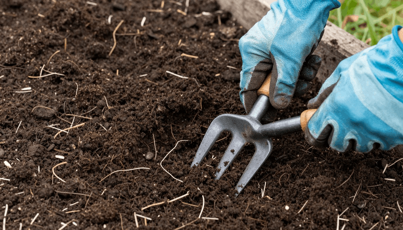 Early Spring Vegetables and Flowers You Can Plant Before Your Last Frost