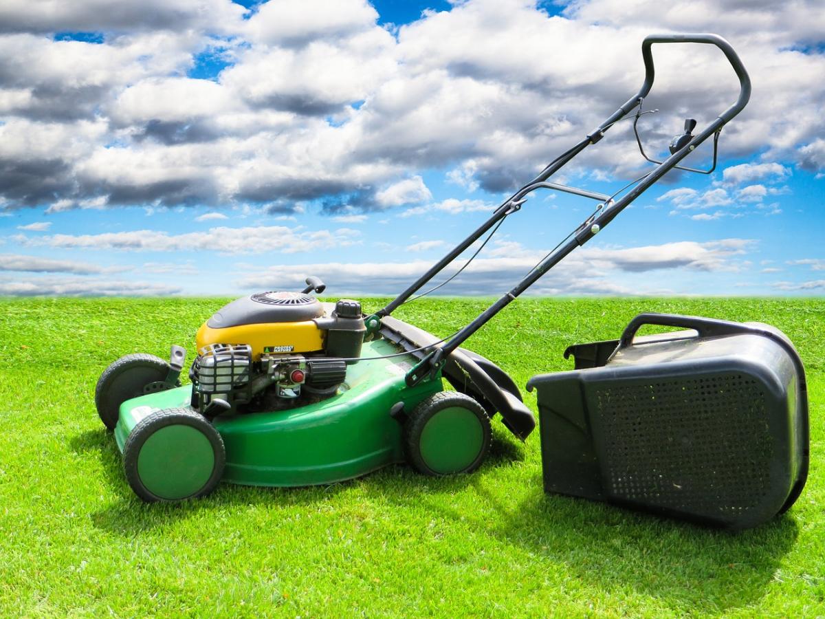 Create Your Dream Lush Green Lawn Today