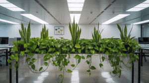 Bring Life and Fresh Air to Your Workspace with These Top Plant Choices