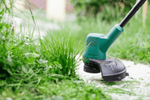 Your Simple Guide to a Lush Green Yard