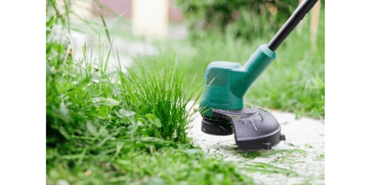Five Steps to a Beautiful Organic Lawn : LawnFly