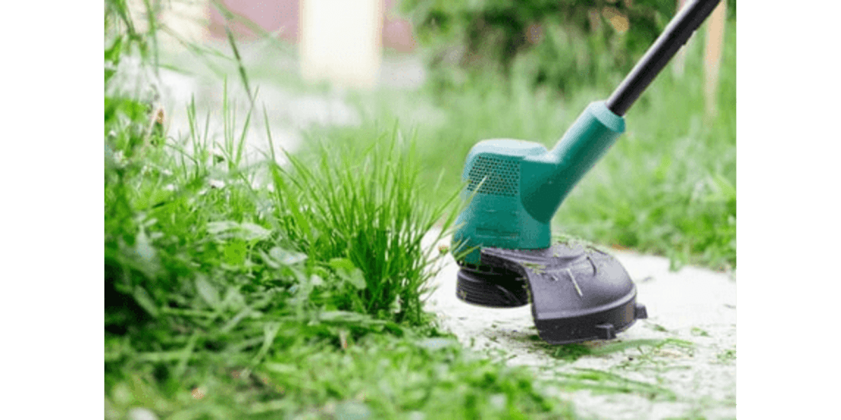 Five Steps to a Beautiful Organic Lawn : LawnFly