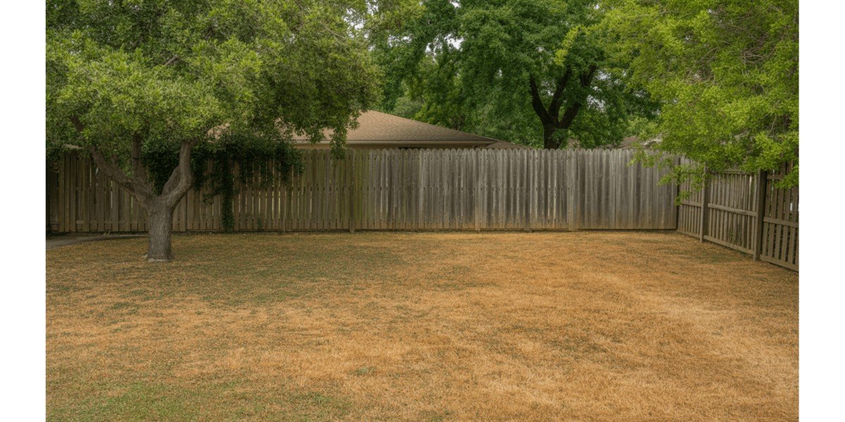 Drought-Resistant Lawn & Garden: Thrive in Dry Conditions