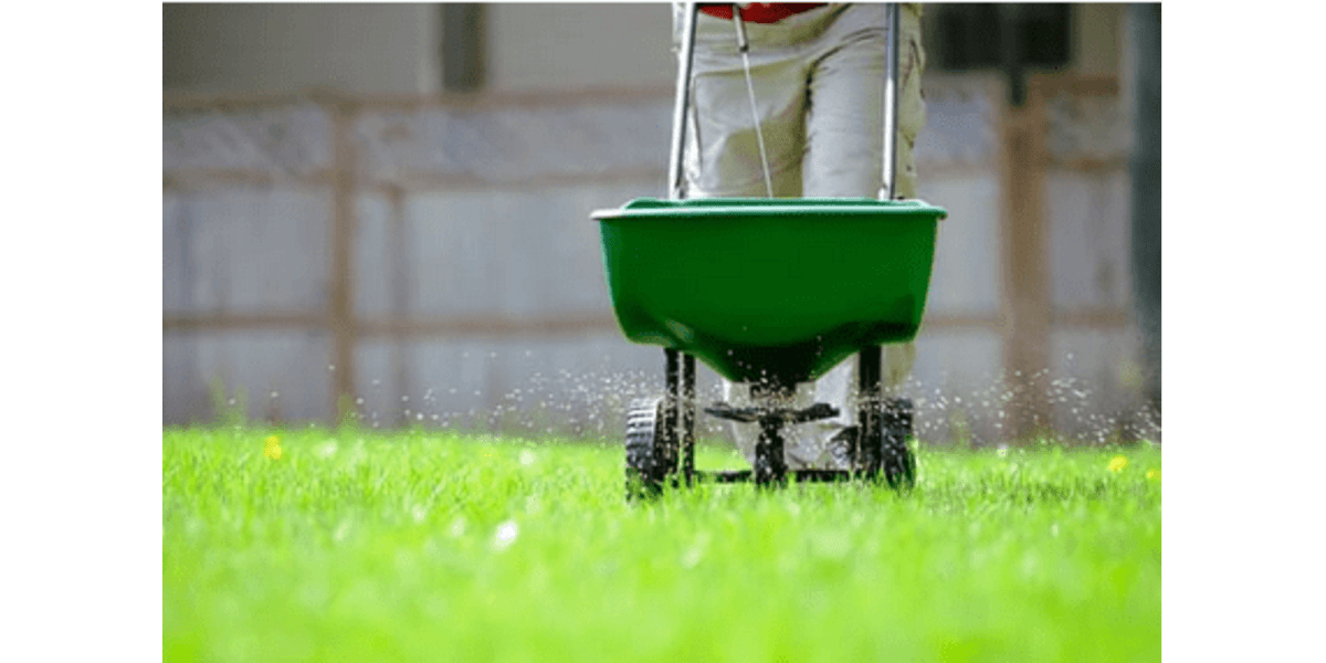 Slow-Release vs. Quick-Release Fertilizers: Pros and Cons for Lawn Care