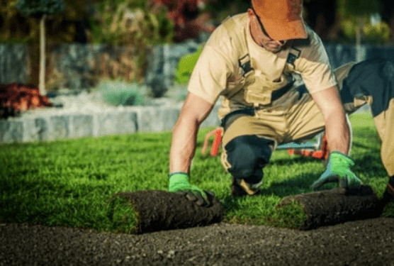 30 Low Cost Landscaping Ideas to Beautify Your Yard on a Budget