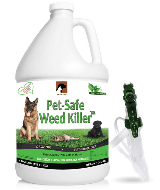 Weed Killer Spray Review: Is JUST FOR PETS the Top Choice?