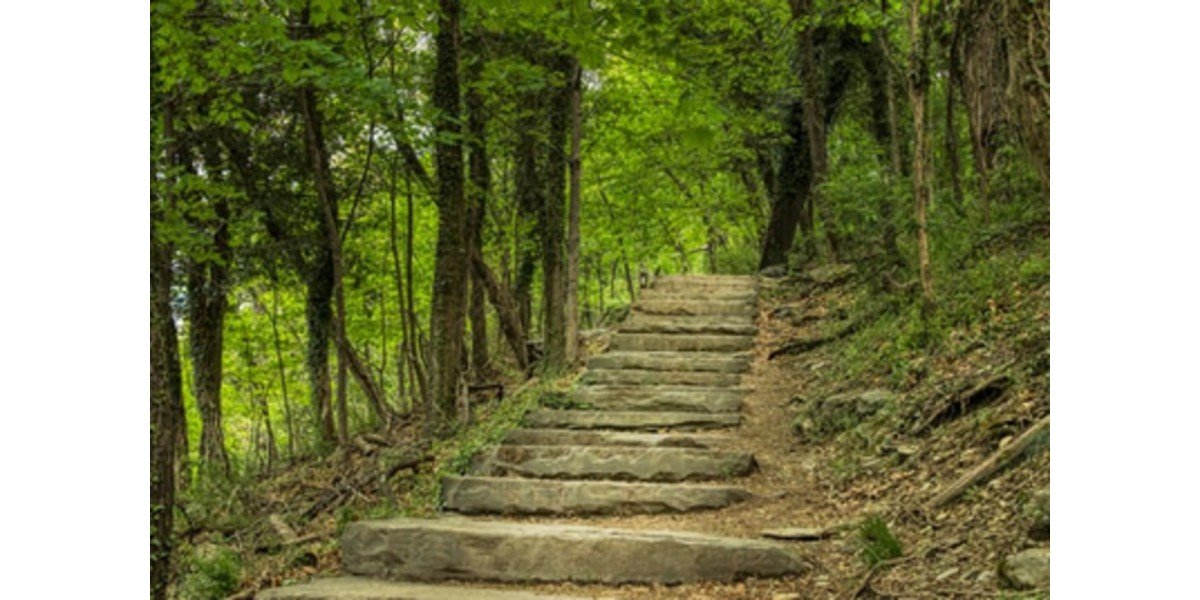 Trail Running Strength Training: Boost Your Performance