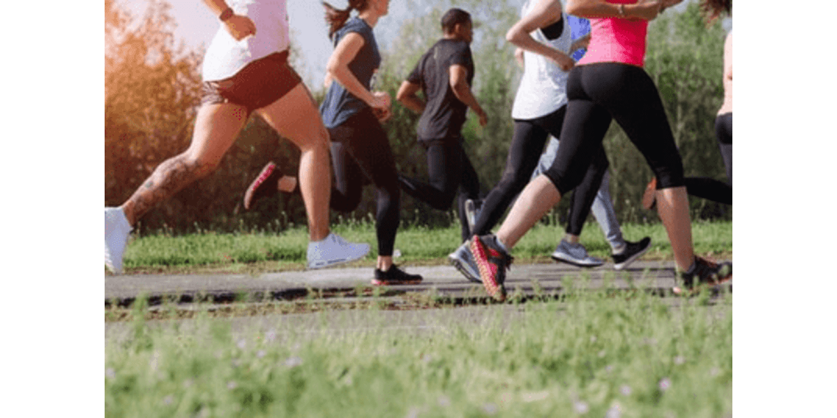Is 80/20 Running the Secret to Success?