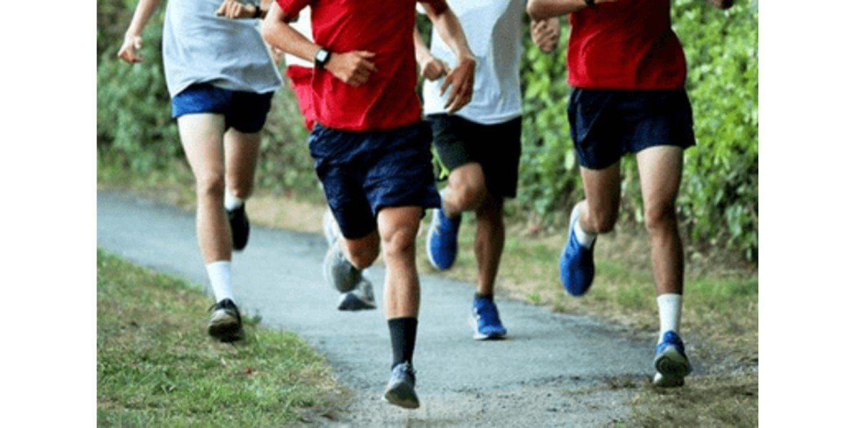 Cross Training for Beginners: Boost Performance & Reduce Injury.