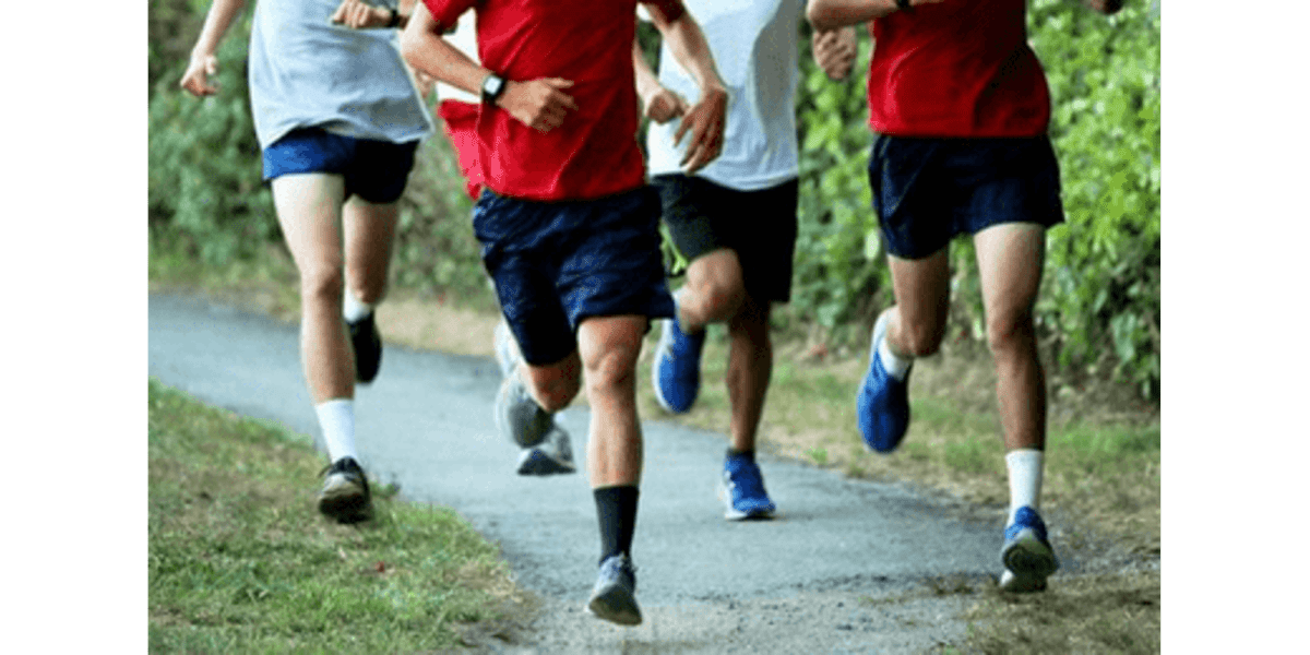 Cross Training for Beginners: Boost Performance & Reduce Injury.