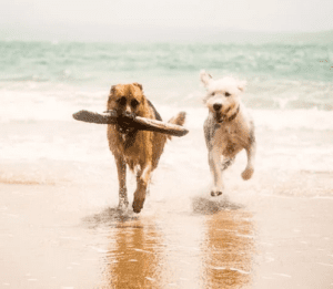 Make the Most of Your Beach Adventures Together