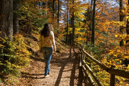 Start Your Journey to Better Health One Step at a Time