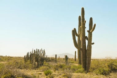 Discover the breathtaking beauty of Verrado, Arizona through a curated list of the best hiking trails