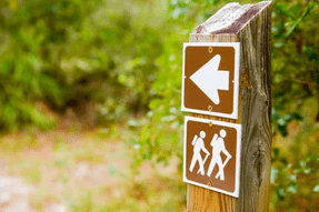 Exploring Maine's picturesque trails for running enthusiasts seeking breathtaking adventures