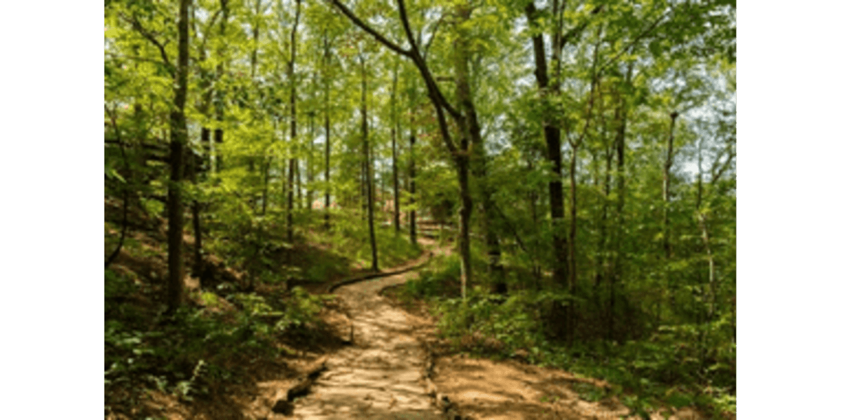 Maine's 10 Finest Trails for Running Enthusiasts