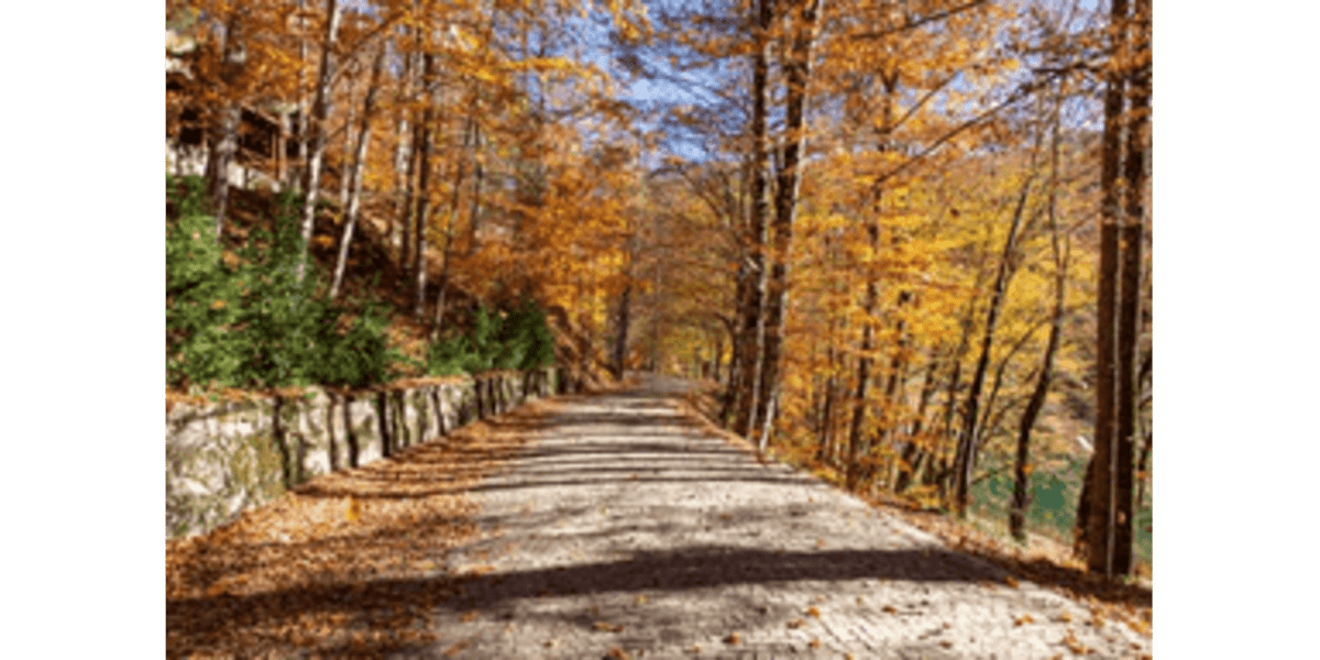Top Running Trails in Maryland: A Runner's Paradise
