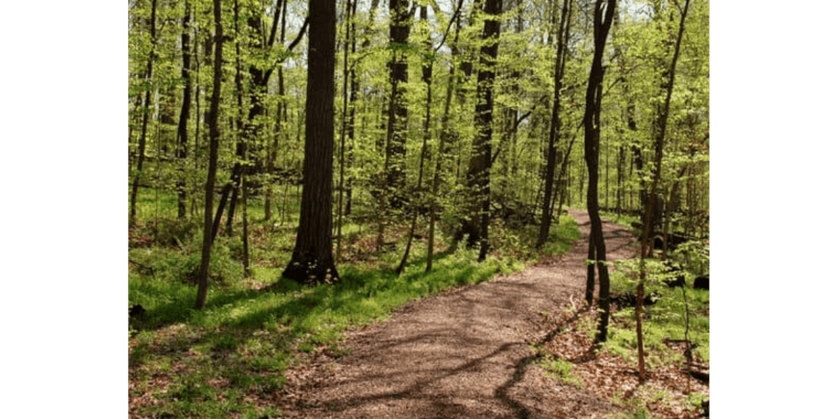 Exploring Maine's Top 10 Running Trails