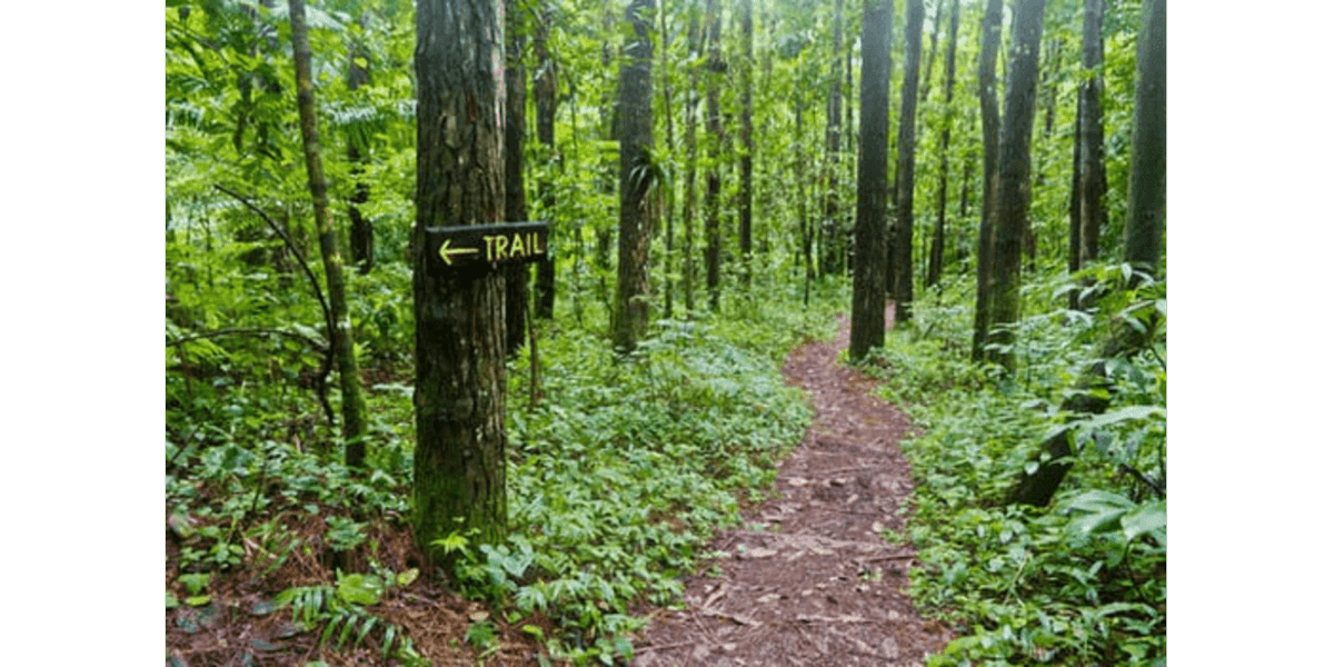 Exploring Vermont's Top 10 Breathtaking Trails