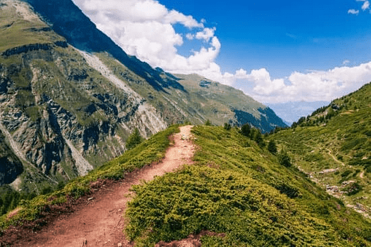 Find Out If Your Running Shoes Are Up for the Trail Challenge