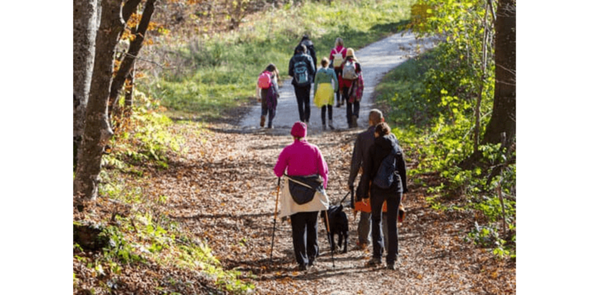 Can Running Shoes be Used for Hiking? 